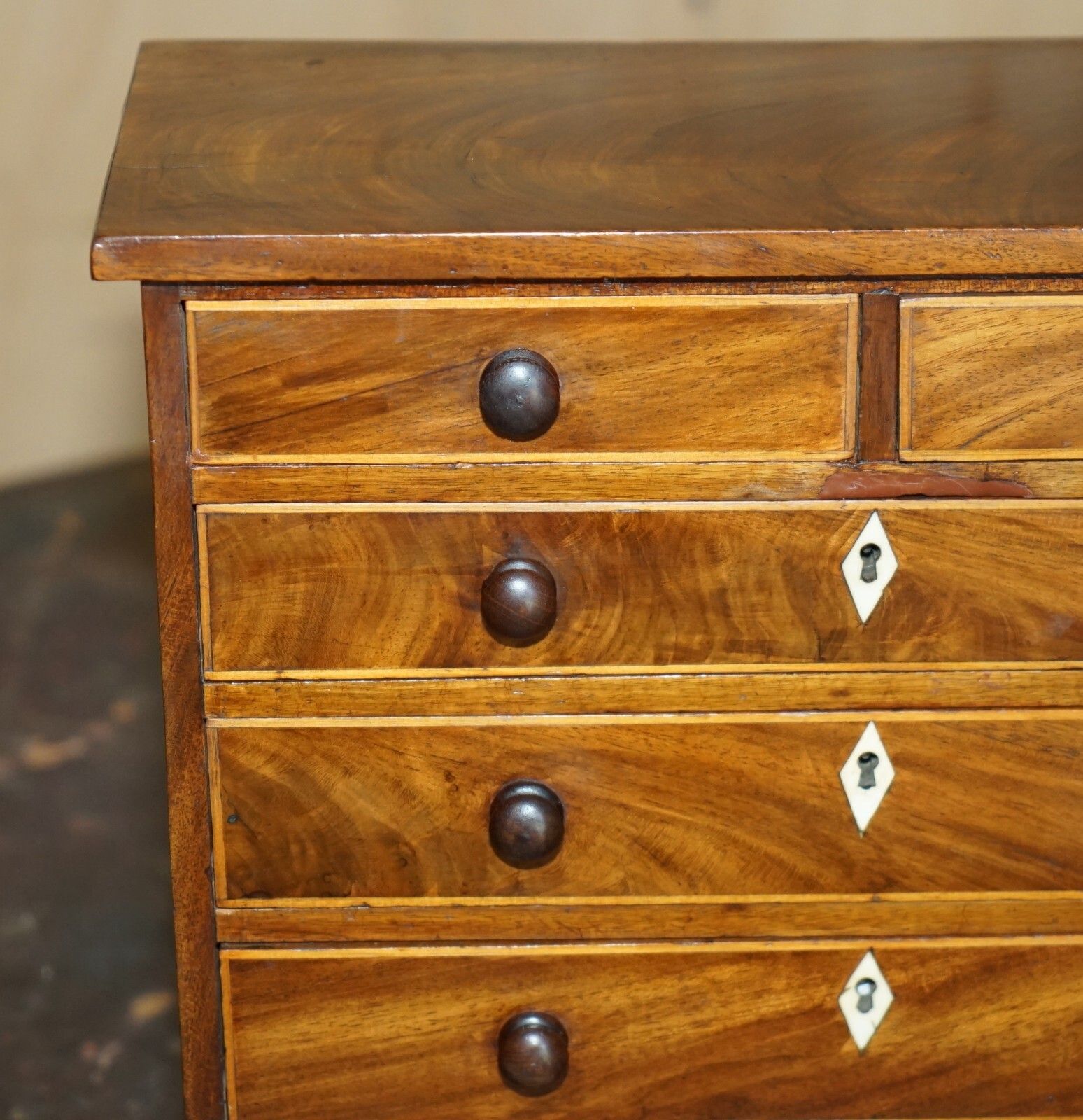 Antique Georgian Circa 1780 1820 Seashell Specimen Collectors Chest Of Drawers photo Furniture
