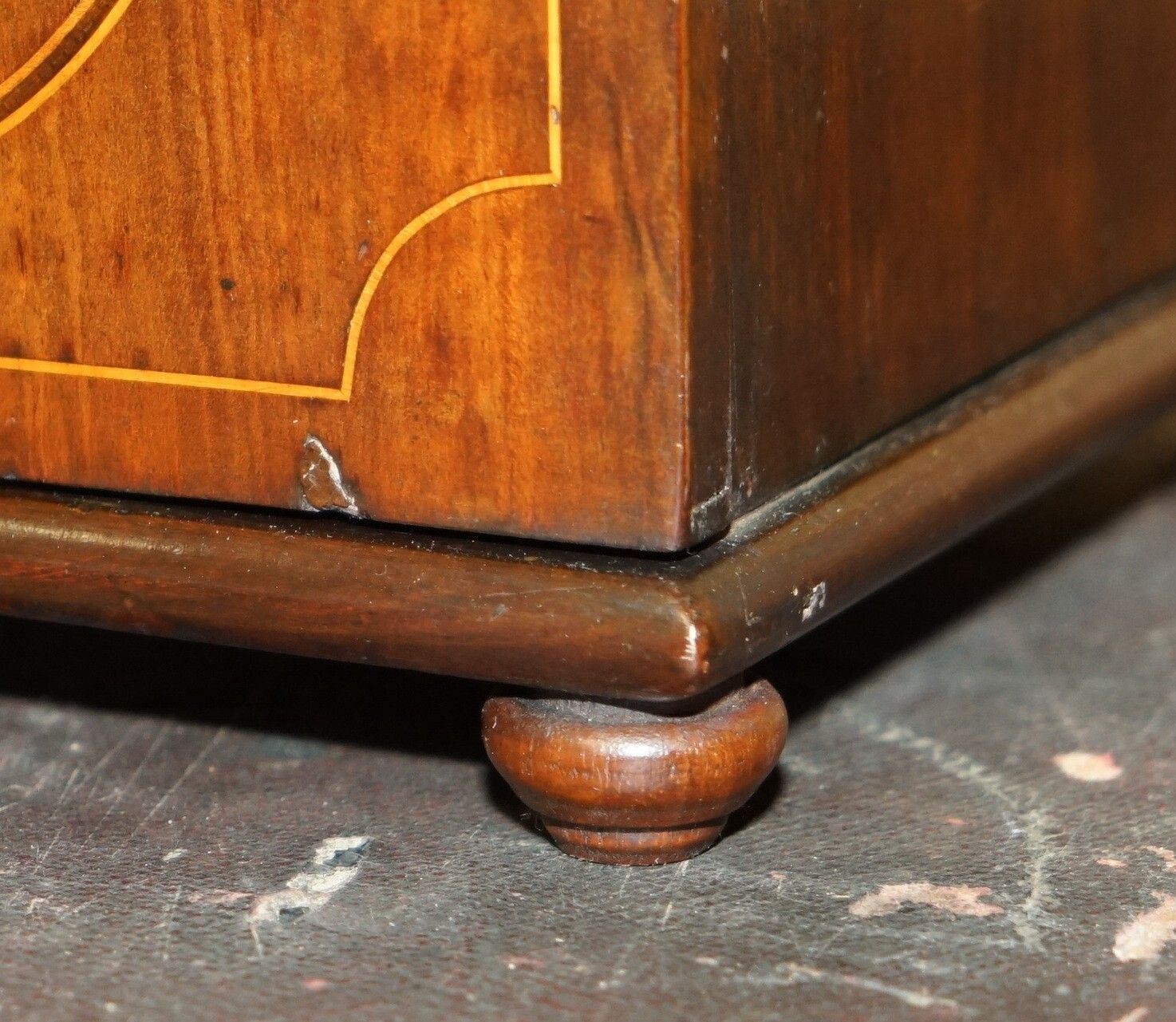 Furniture Fully Restored Fine & Antique Georgian Sheraton Collectors Cabinet Circa 1820 photo