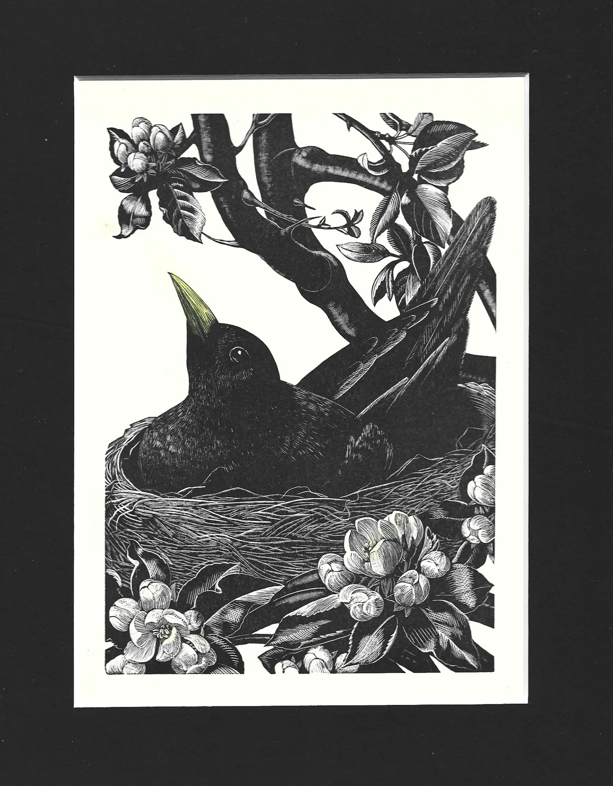 1936 Woodblock Print ‘Blackbird On Her Nest’ By Clare Leighton photo furniture