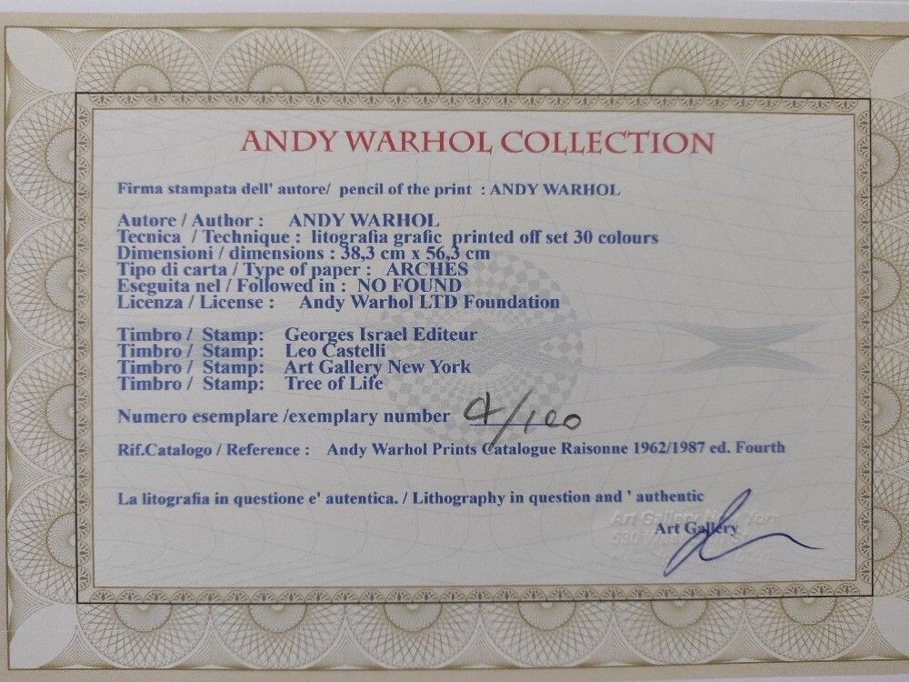 Andy Warhol Signed Lithograph Debbie Harry Certificate Leo Castelli photo for sale