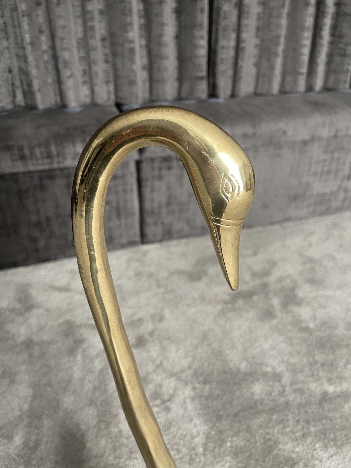 Brass Swan photo Art