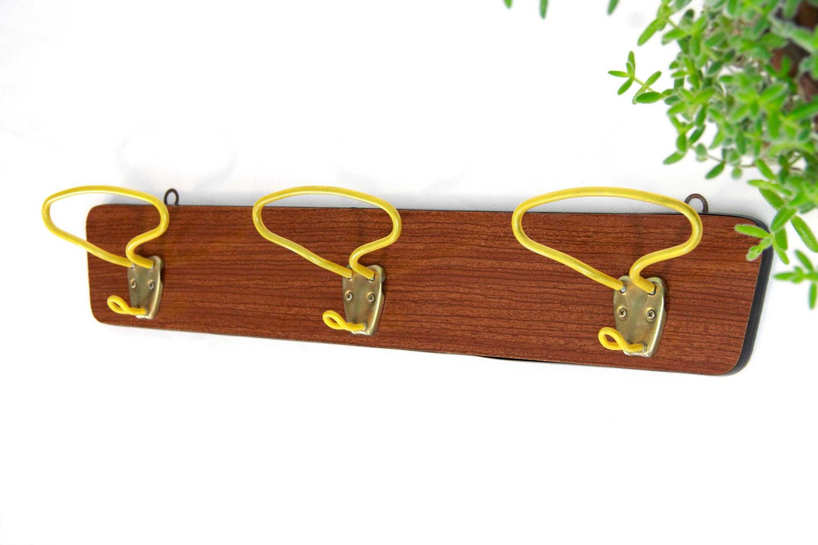 Zagara, Vintage Mid Century Industrial Wall Coat Rack, Italy, 1960s photo Furniture