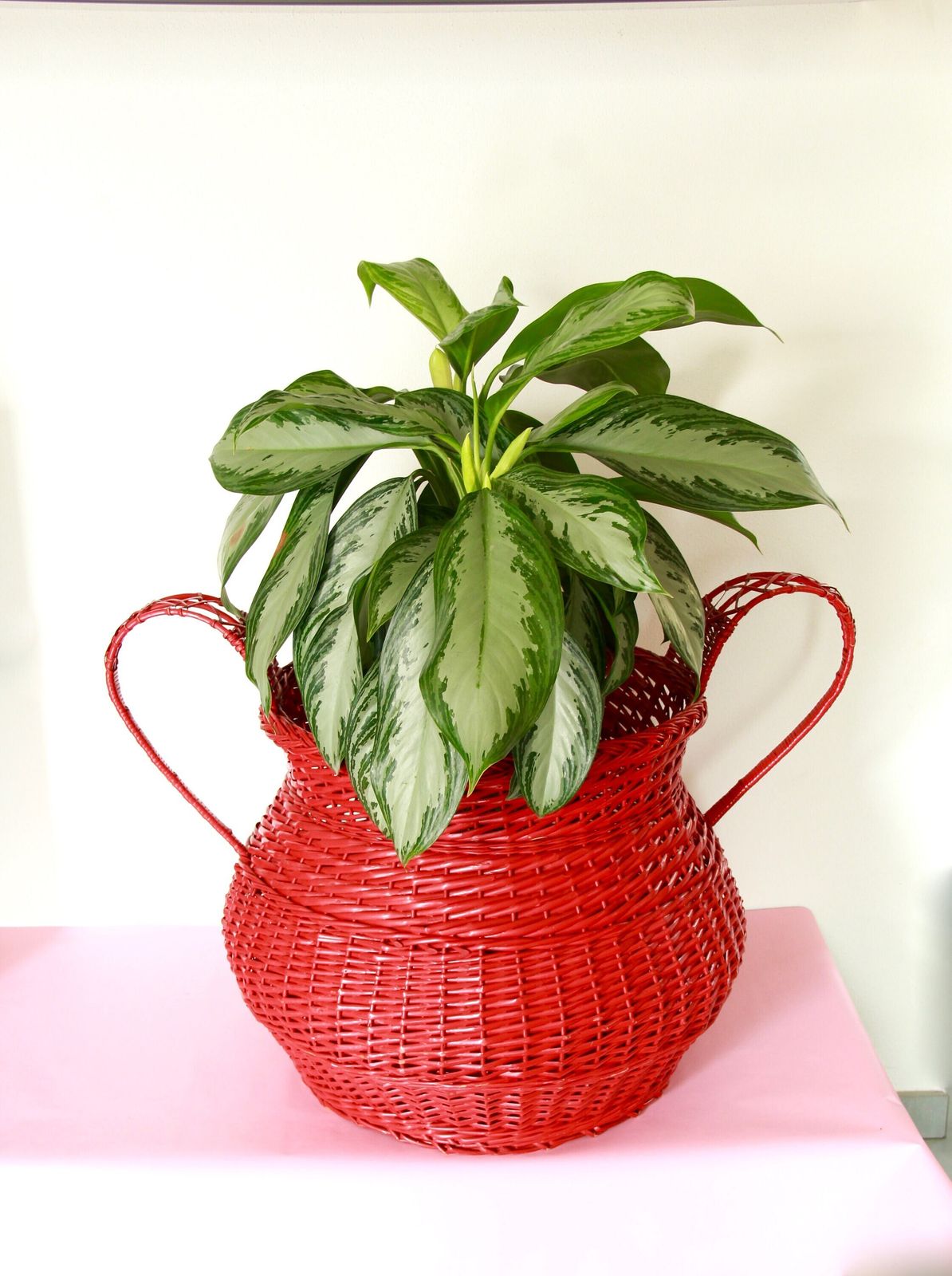 Cestone, Vintage Large Red Rattan And Wicker Basket, Italy, 1960s photo vintage