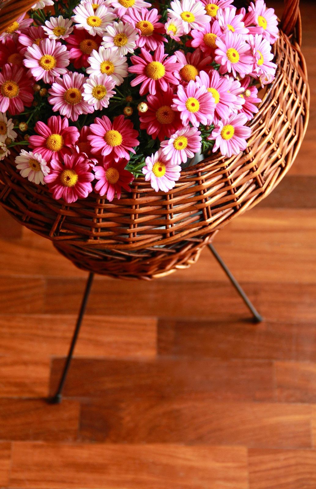 Flora, Wicker Plant Stand, Italy, 50's photo furniture