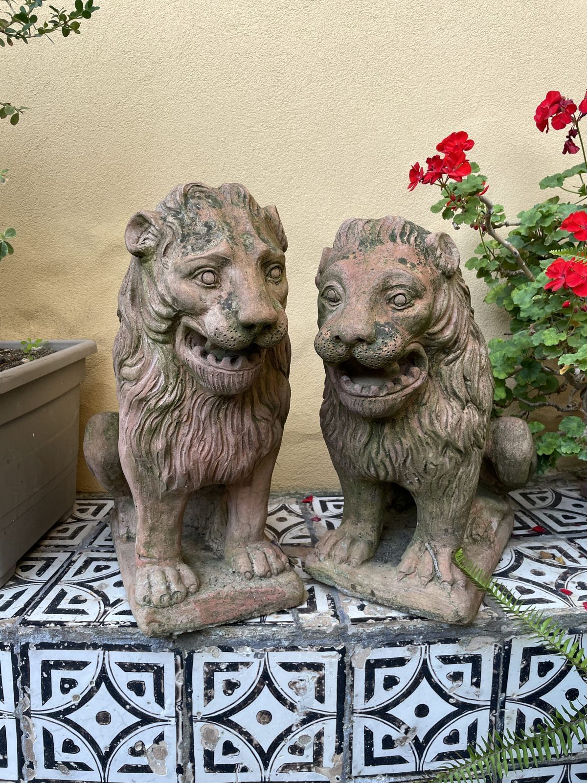 Pair Of Italian Terracotta Lions. ( Circa 1920) photo for sale
