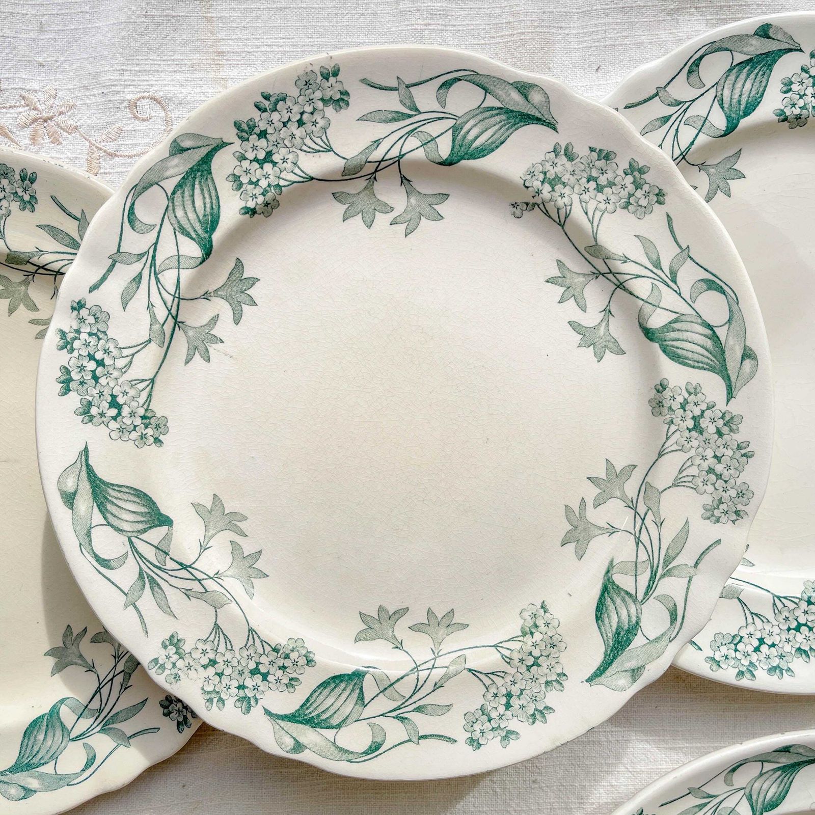 Set Of 6 Antique Terre De Fer "Lilac" Dinner Plates – Longchamp 19th Century – Vintage French Tableware photo vintage