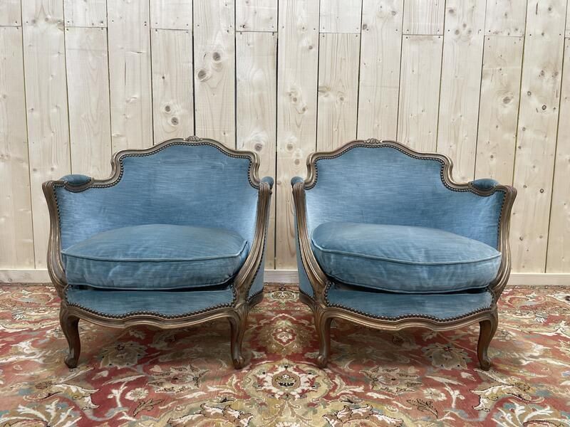 Paire De Fauteuils Bergères De Style Louis XV En Velours Bleu Et Bois Doré