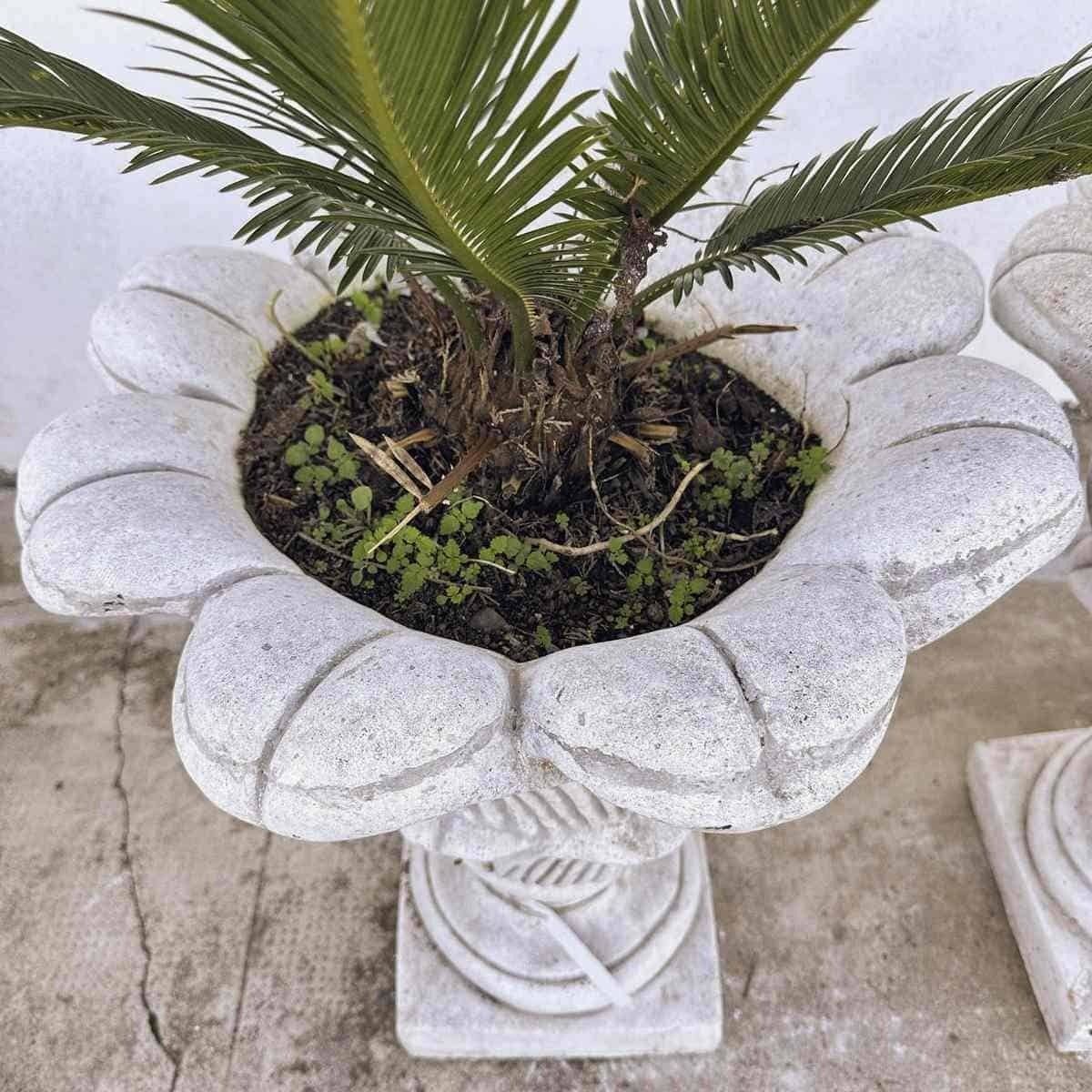 Twin Planters With Intricate Detailing, Perfect For Creating Symmetry And Beauty In The Garden. photo vinterior