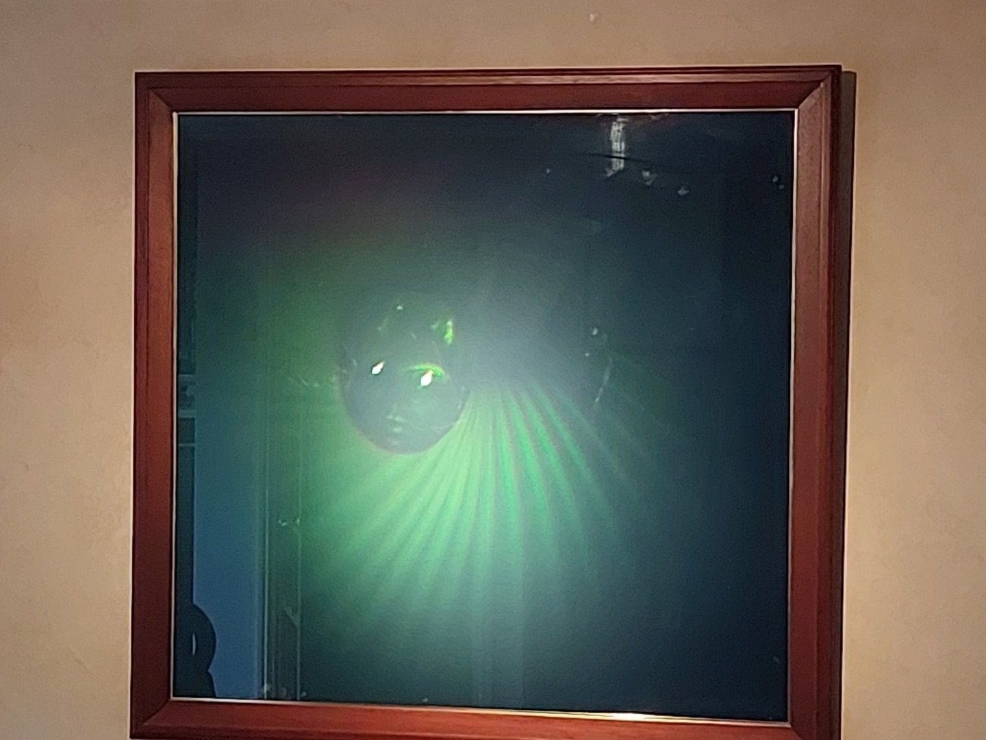 Hologram Art Work   ‘Voile De Femme’