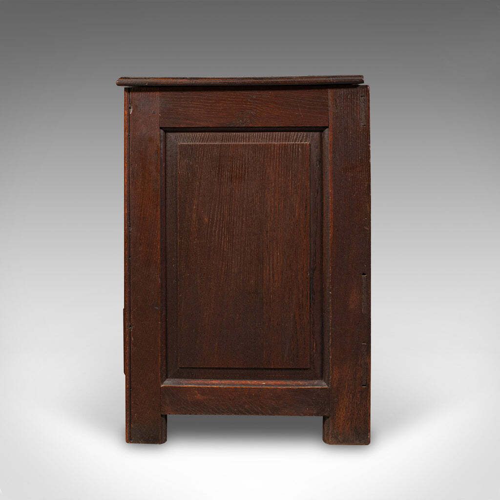 Large Antique 3 Panel Mule Chest, English Oak, Storage Trunk, Georgian, C.1770 photo vinterior