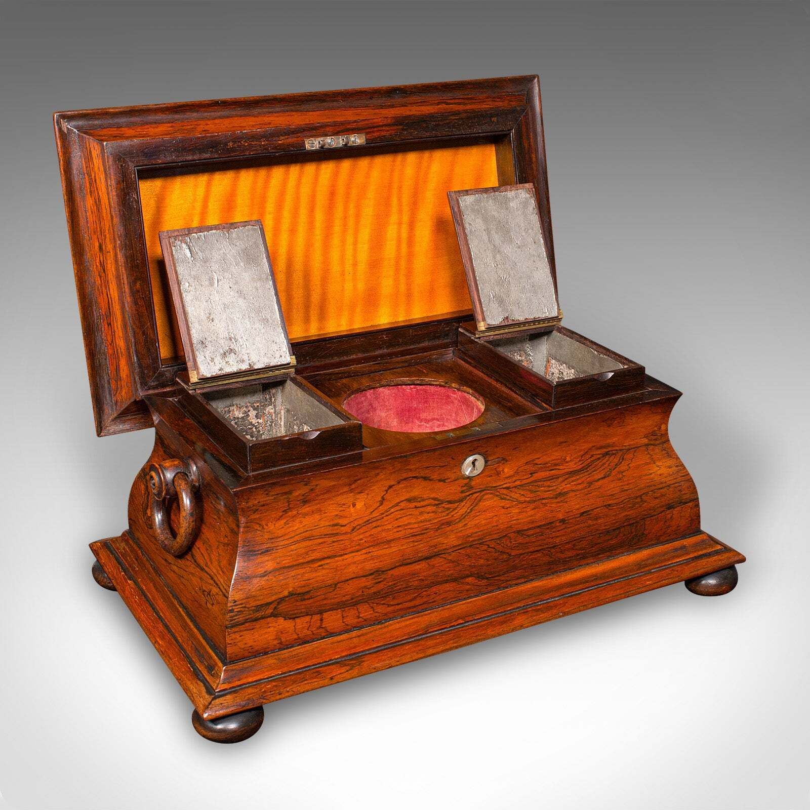 Antique Sarcophagus Loose Leaf Tea Caddy, Drawing Room, English, Regency, C.1820 photo for sale