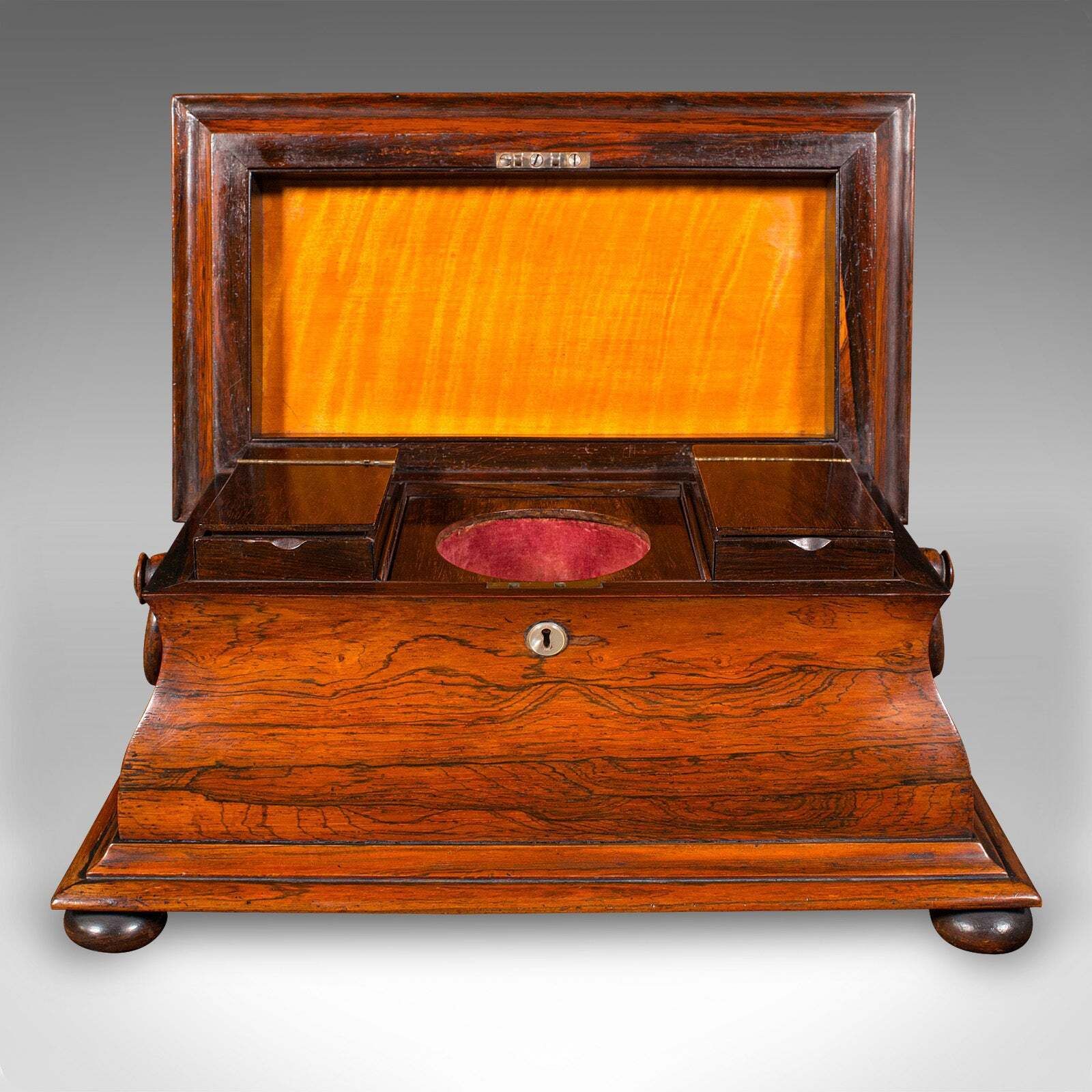 Antique Sarcophagus Loose Leaf Tea Caddy, Drawing Room, English, Regency, C.1820 photo 1526.0
