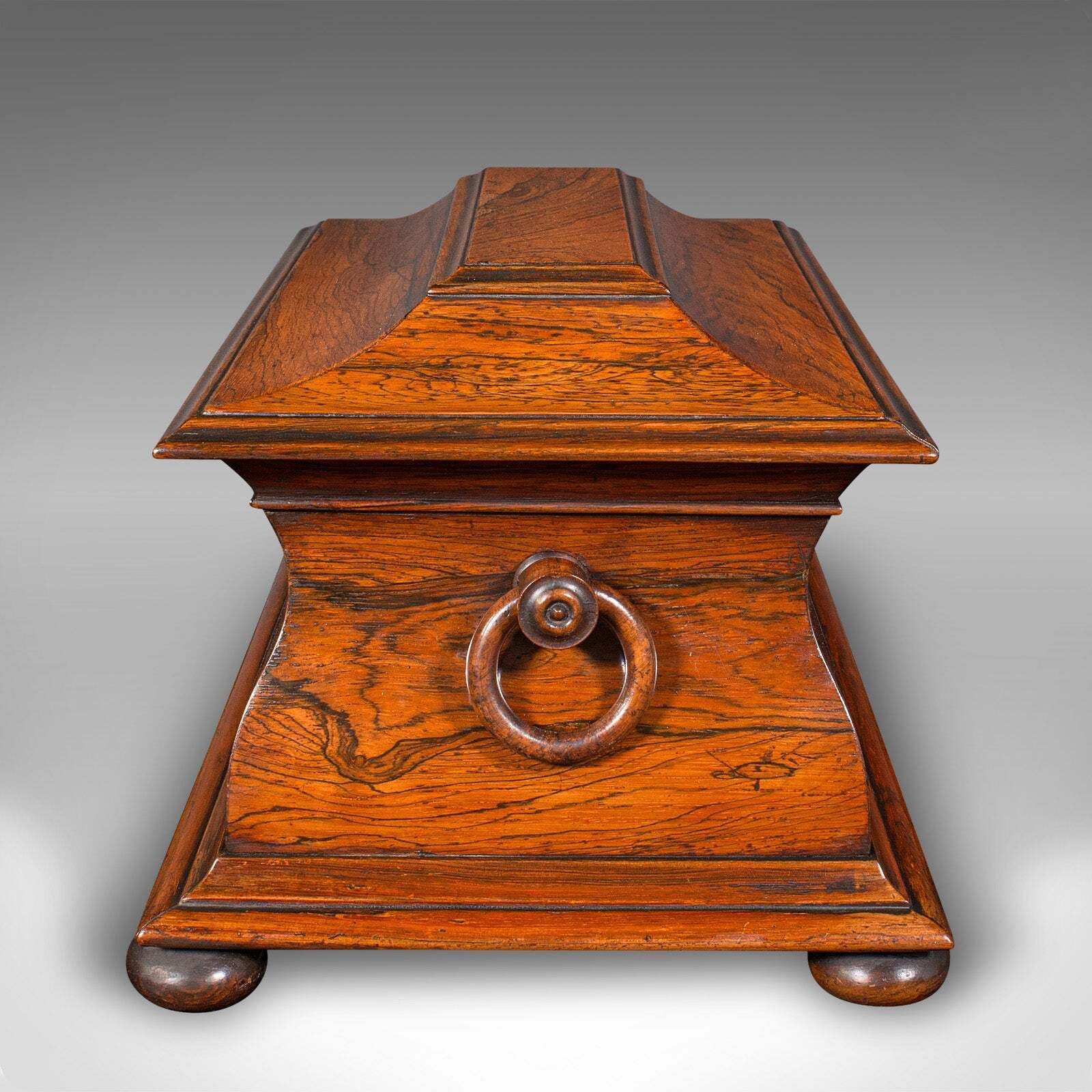 Antique Sarcophagus Loose Leaf Tea Caddy, Drawing Room, English, Regency, C.1820 photo vinterior