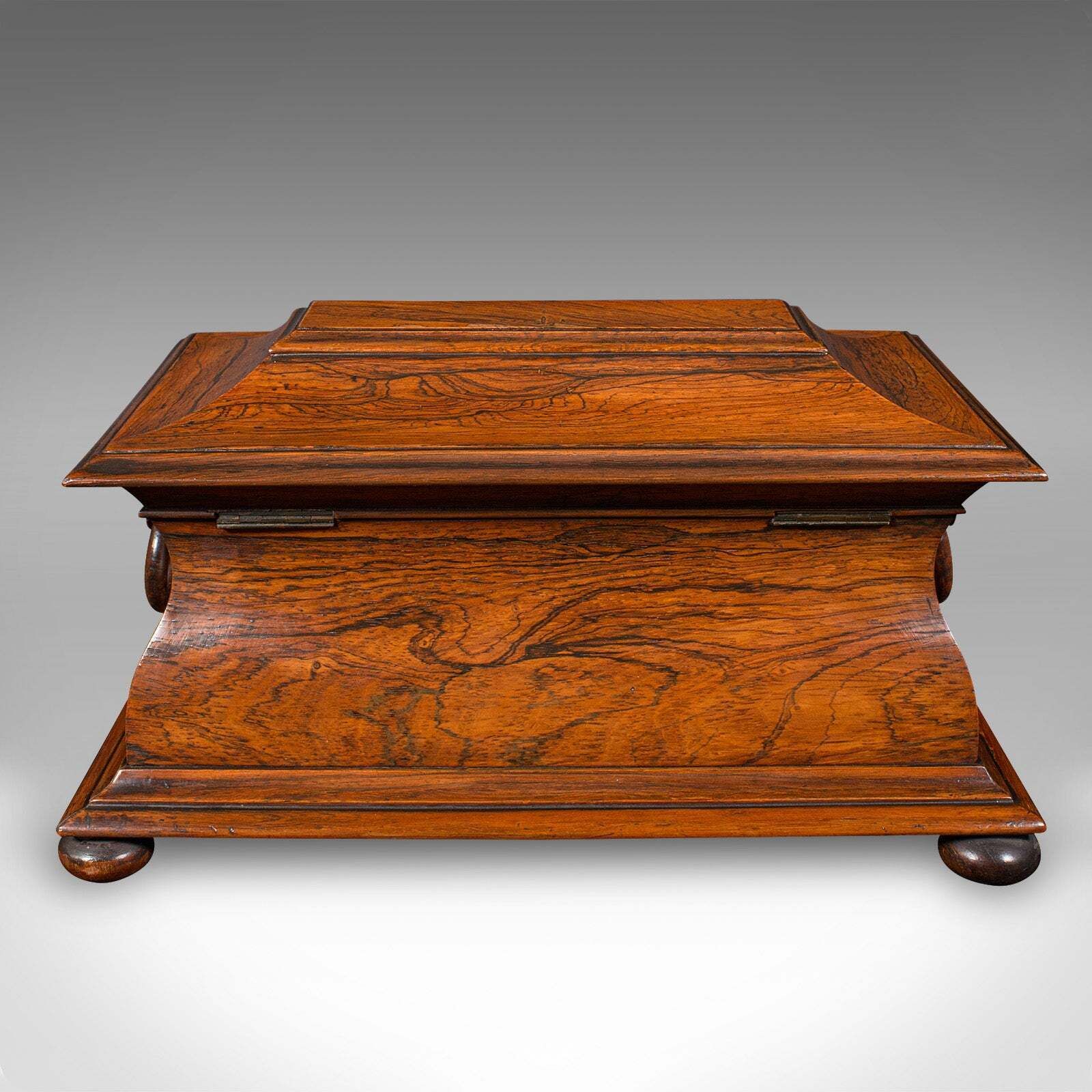 Antique Sarcophagus Loose Leaf Tea Caddy, Drawing Room, English, Regency, C.1820 photo buy