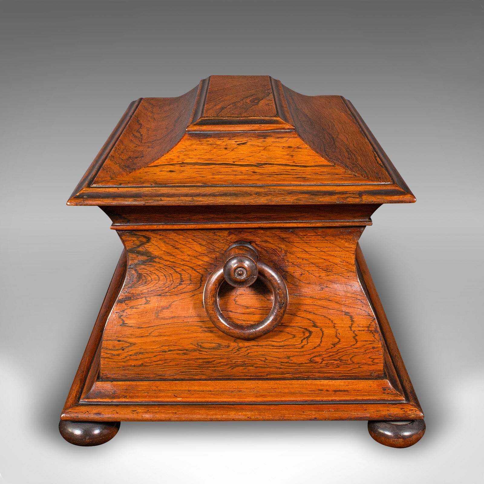 Antique Sarcophagus Loose Leaf Tea Caddy, Drawing Room, English, Regency, C.1820 photo vintage