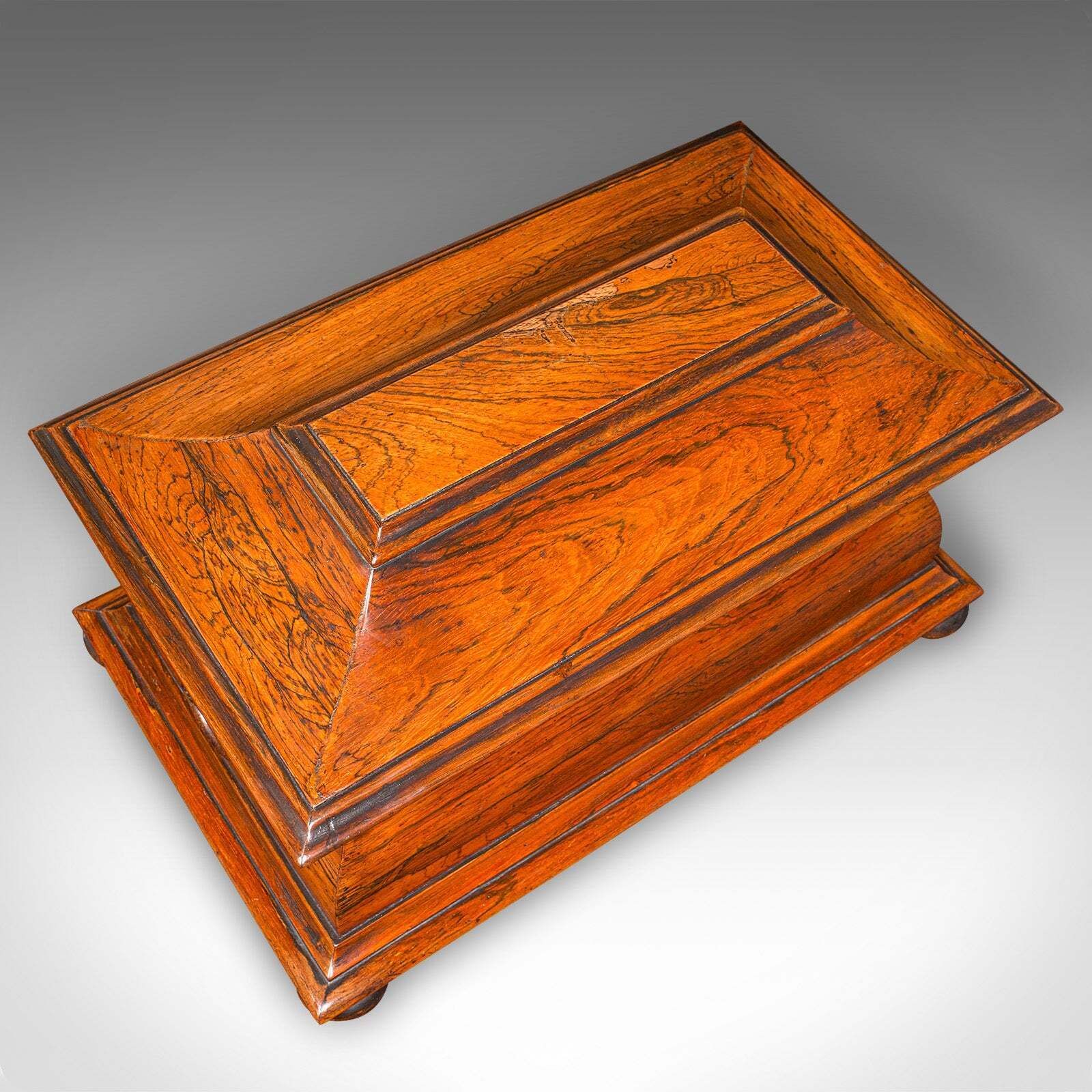 photo furniture Antique Sarcophagus Loose Leaf Tea Caddy, Drawing Room, English, Regency, C.1820