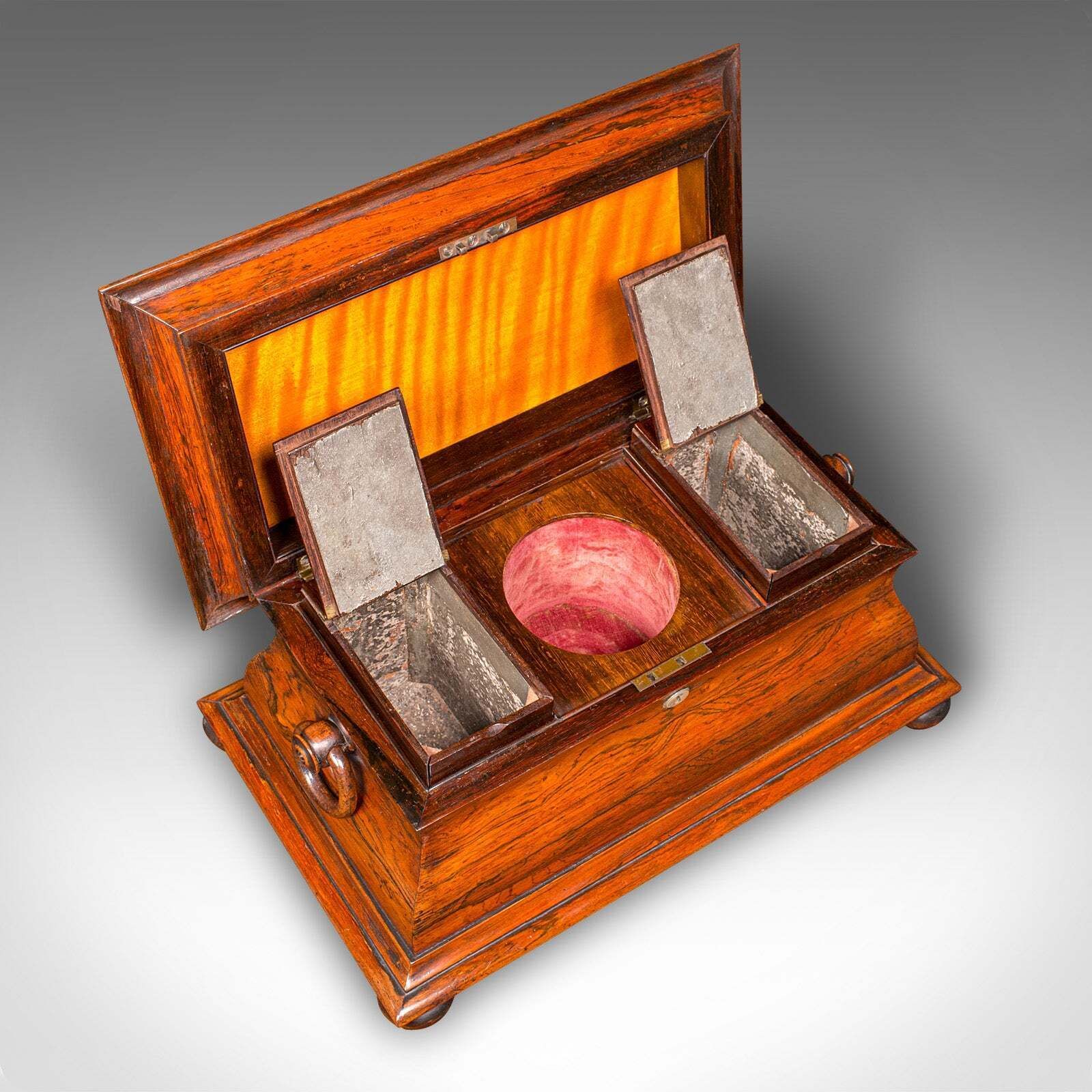 photo for sale Antique Sarcophagus Loose Leaf Tea Caddy, Drawing Room, English, Regency, C.1820