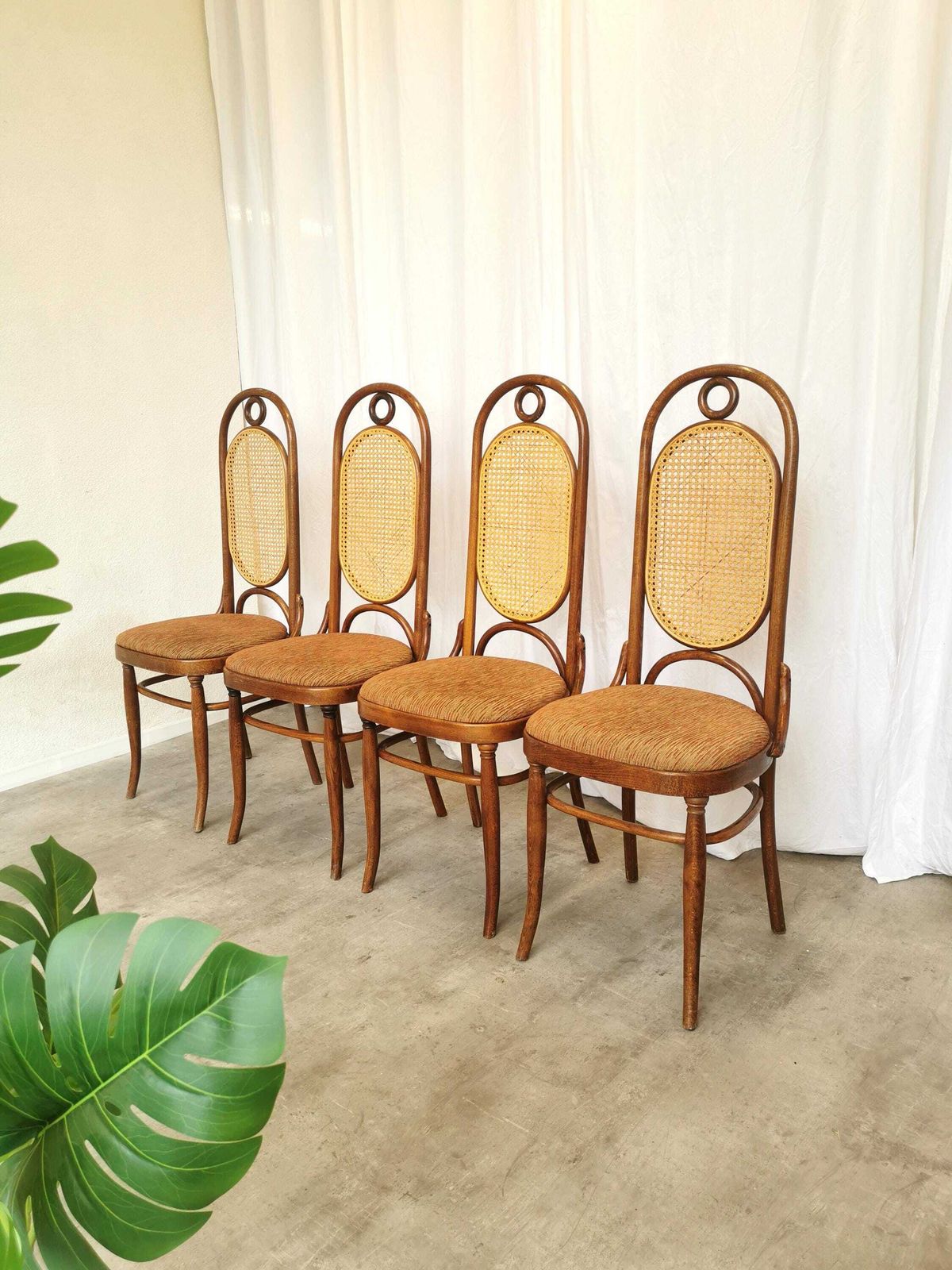 Set Of 4 Vintage High Backrest Dining Chairs / 1970s Thonet Style Bentwood Dine Chairs / Cane Back Fabric Seat / Mid Century Wooden Chairs