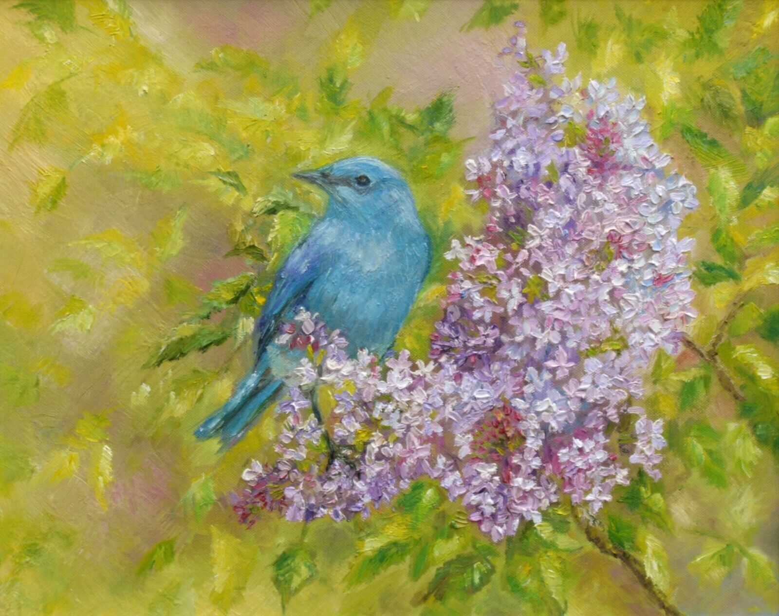 Mountain Bluebird Original Oil Painting Signed Framed Wildlife Andi J Lucas photo for sale