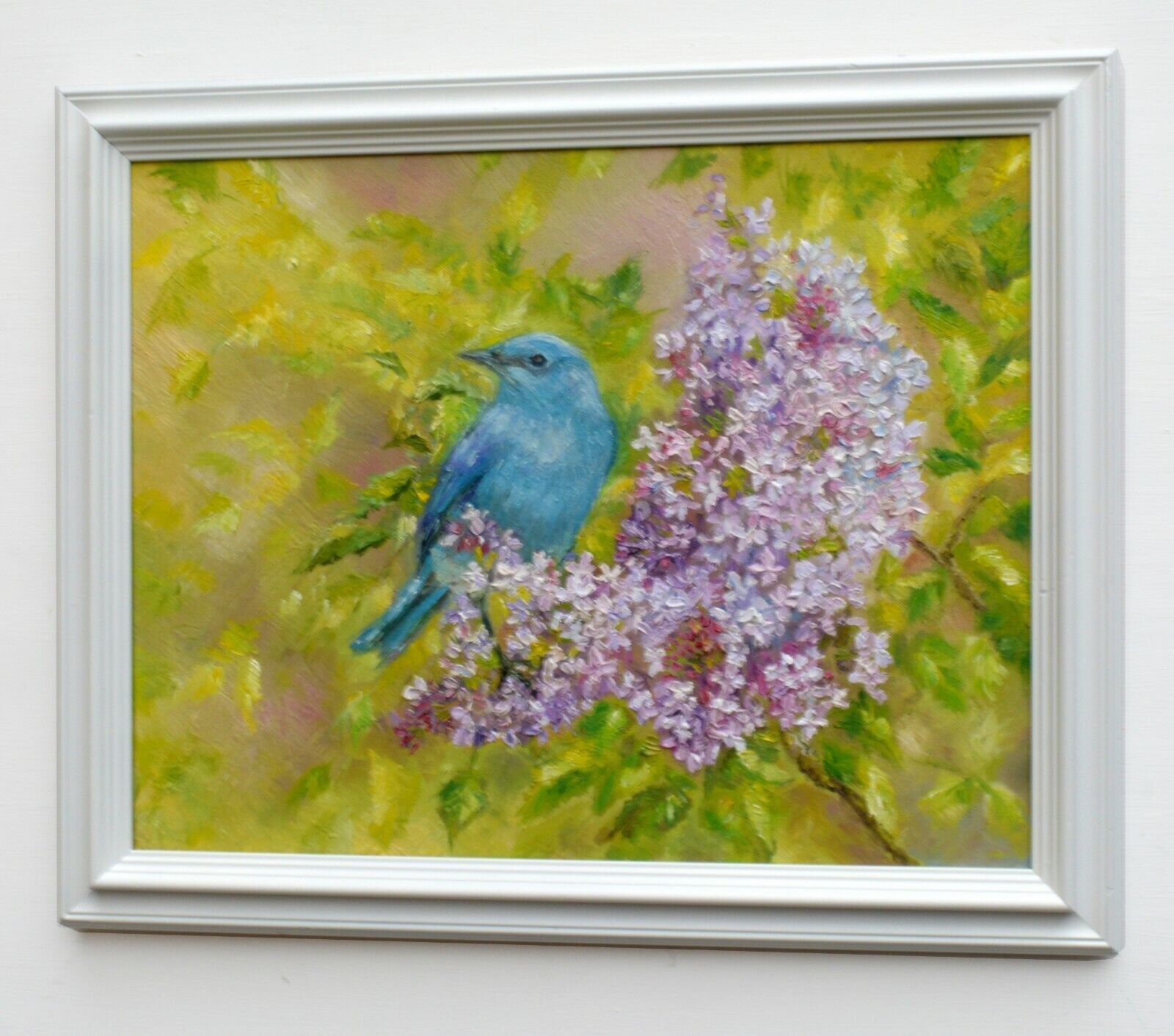 Mountain Bluebird Original Oil Painting Signed Framed Wildlife Andi J Lucas photo Art