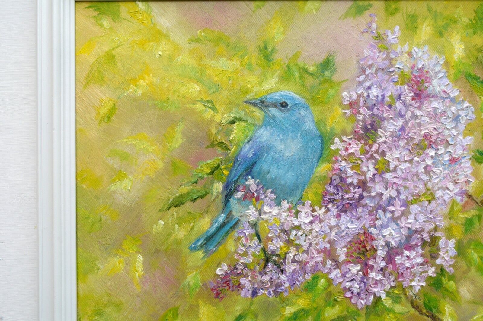 Mountain Bluebird Original Oil Painting Signed Framed Wildlife Andi J Lucas photo vinterior
