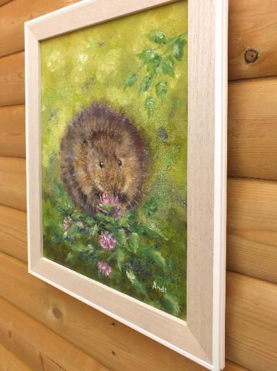 New Original Framed Painting Water Vole  Andi J Lucas  Wildlife Art photo buy