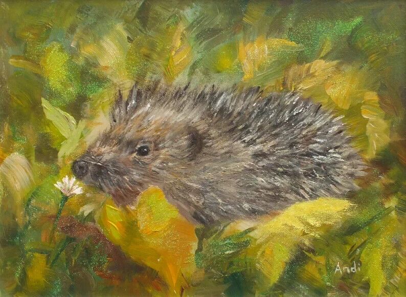 New Original Framed Signed Painting Hedgehog  Andi J Lucas  Wildlife Art photo furniture