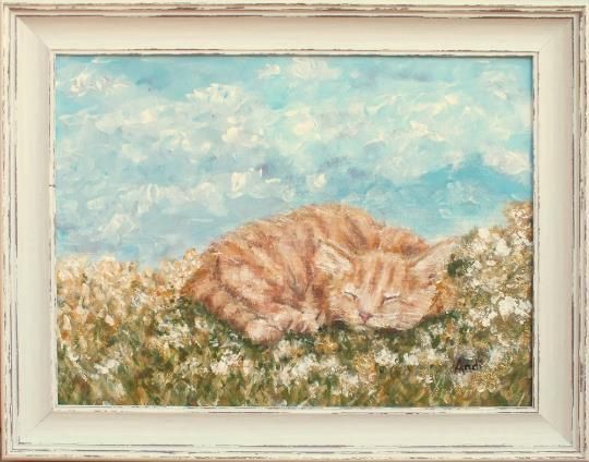 Sleeping Ginger Blonde Cat  Summer Day Original Framed Painting Andi J Lucas photo for sale