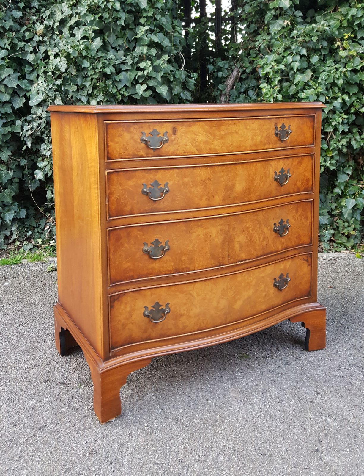 Burr Walnut Serpentine Front Chest Of 4 Drawers photo 475.0