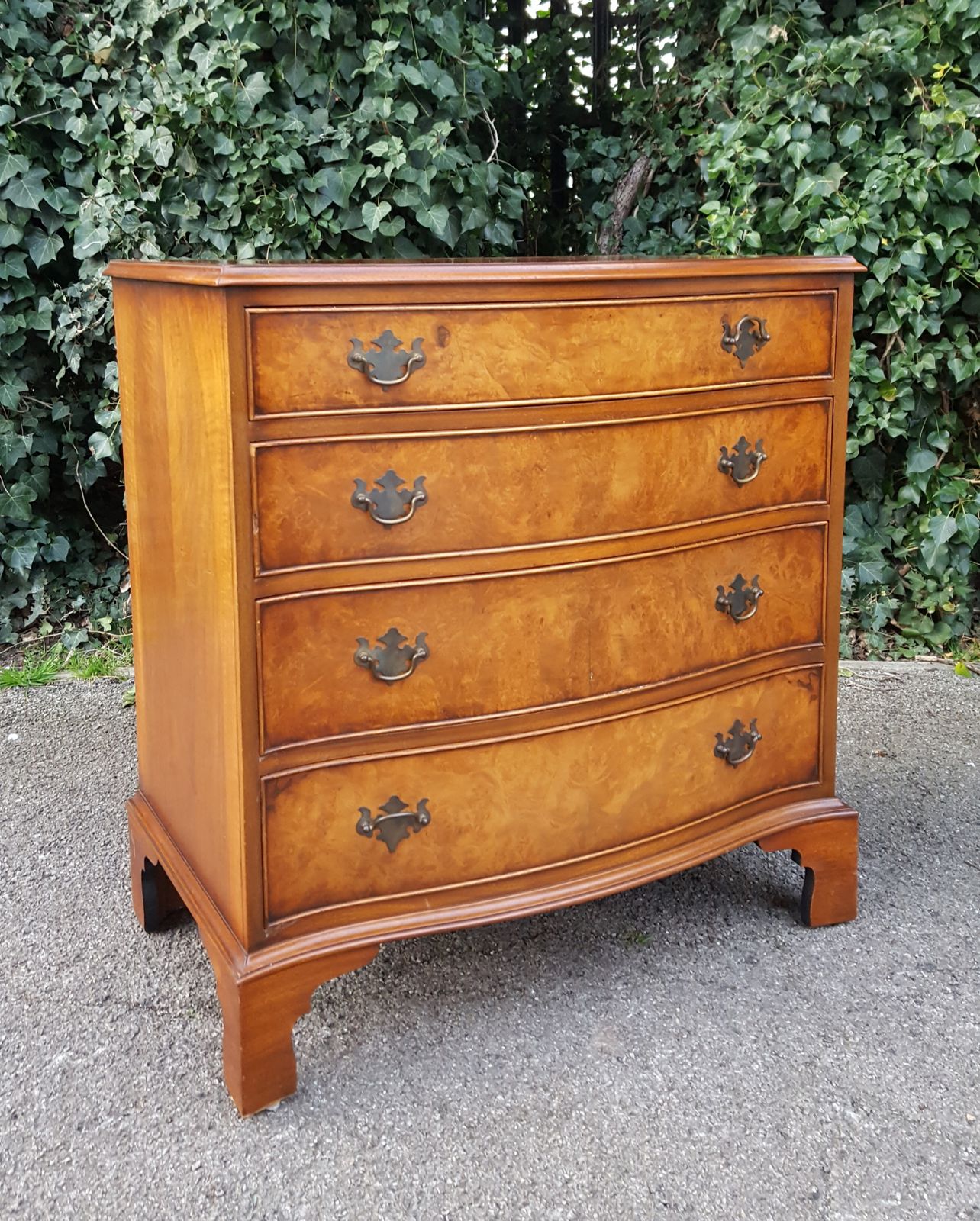 Burr Walnut Serpentine Front Chest Of 4 Drawers photo vinterior