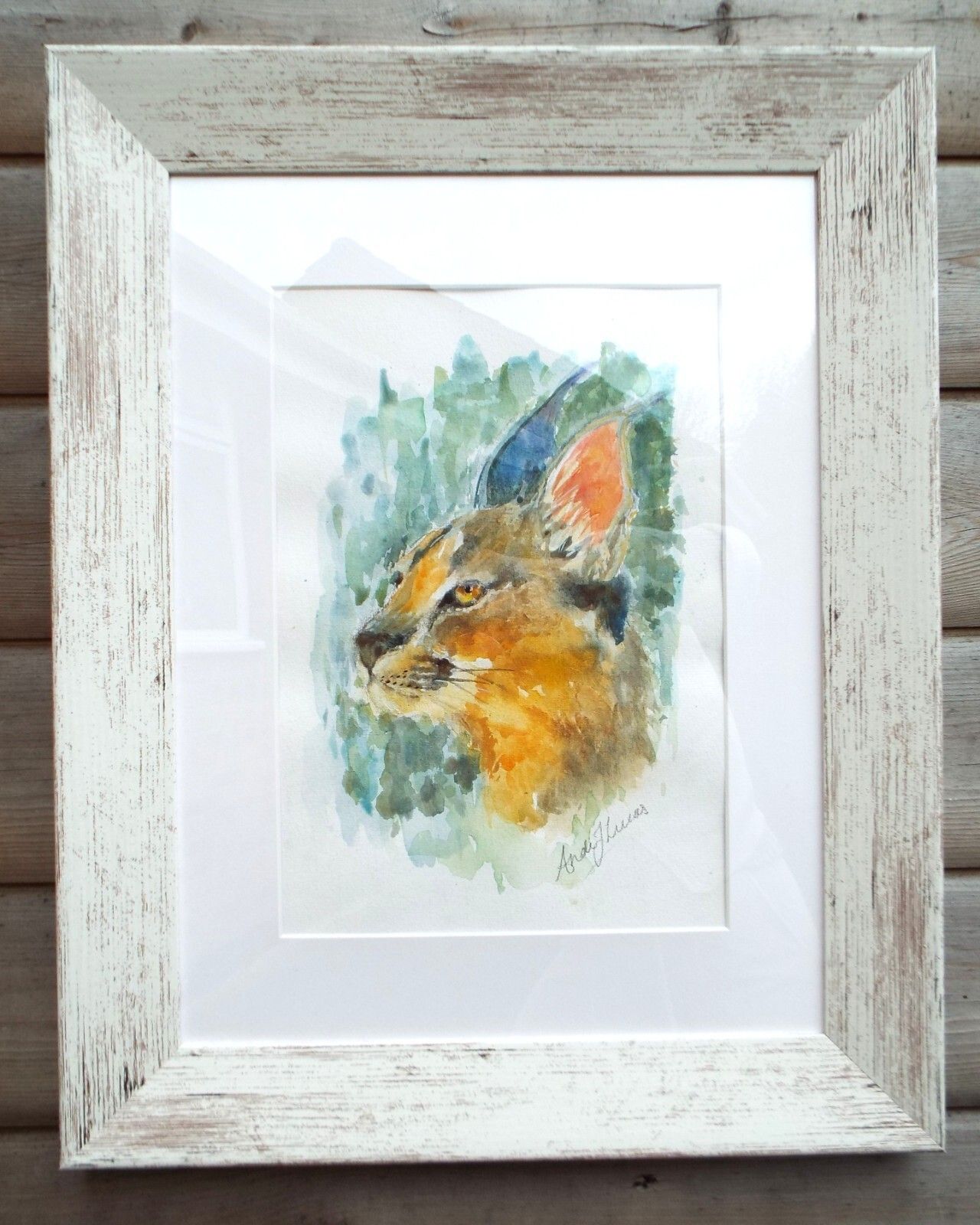 Caracal Watercolour Big Cat Painting Framed African Wildlife Original Andi