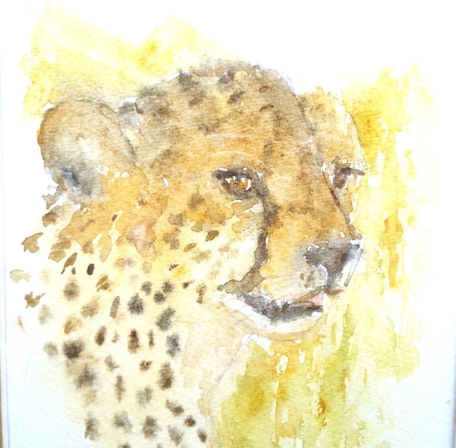 Cheetah Watercolour Big Cat Painting Framed African Wildlife Original Andi Lucas photo furniture