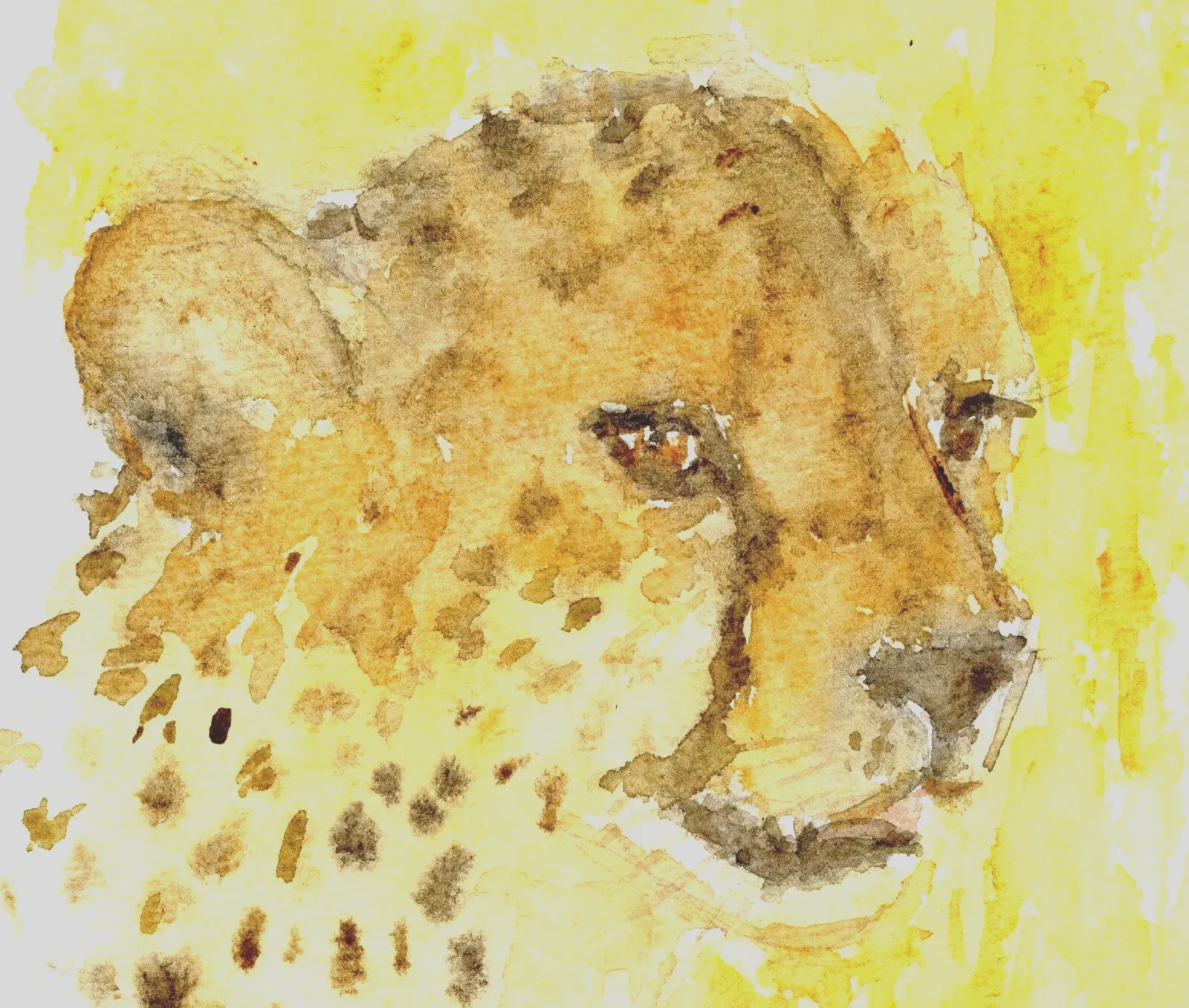 Cheetah Watercolour Big Cat Painting Framed African Wildlife Original Andi Lucas photo for sale