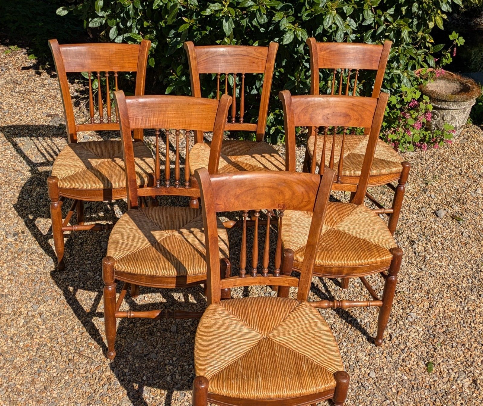 Antique French Fruitwood Dining Chairs Set 6 photo for sale