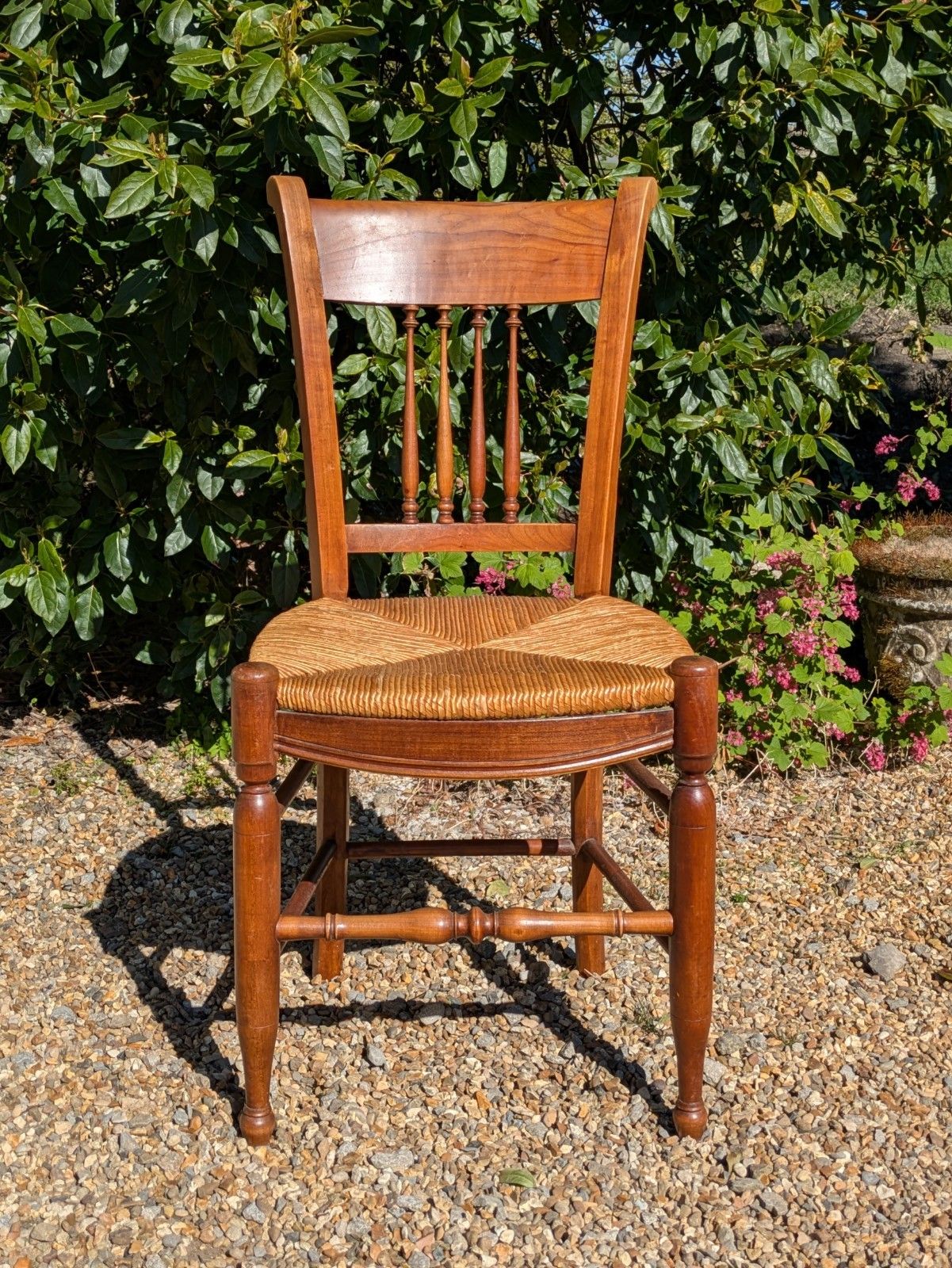 Antique French Fruitwood Dining Chairs Set 6 photo Furniture