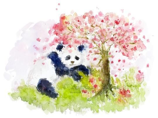 Panda & Cherry Blossom Illustration Original Watercolour Painting Andi J Lucas