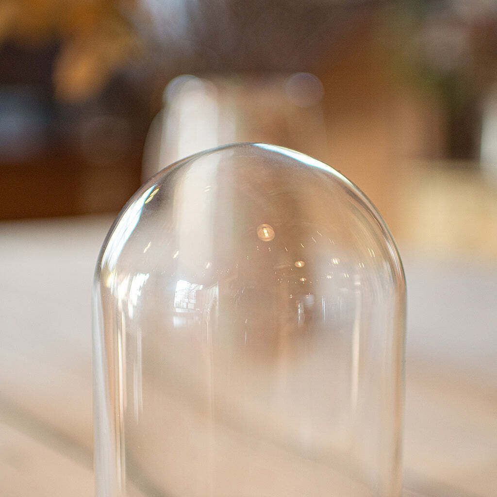 Small Antique Display Dome, English, Glass, Oak, Taxidermy, Showcase, Edwardian photo 301.0