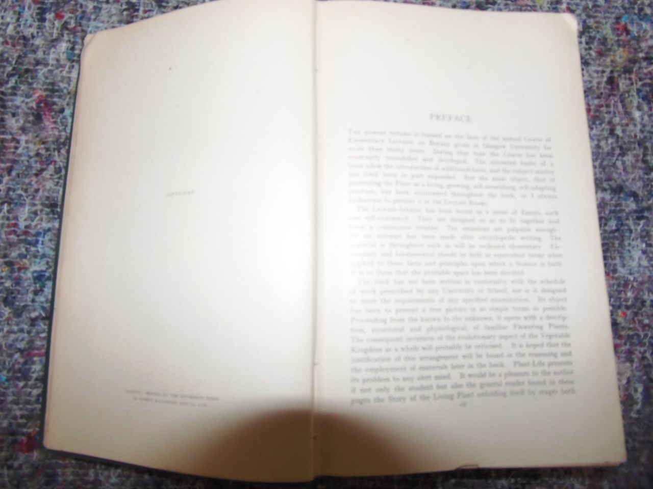 photo for sale Botany Of The Living Plant Book By F.O.Bower