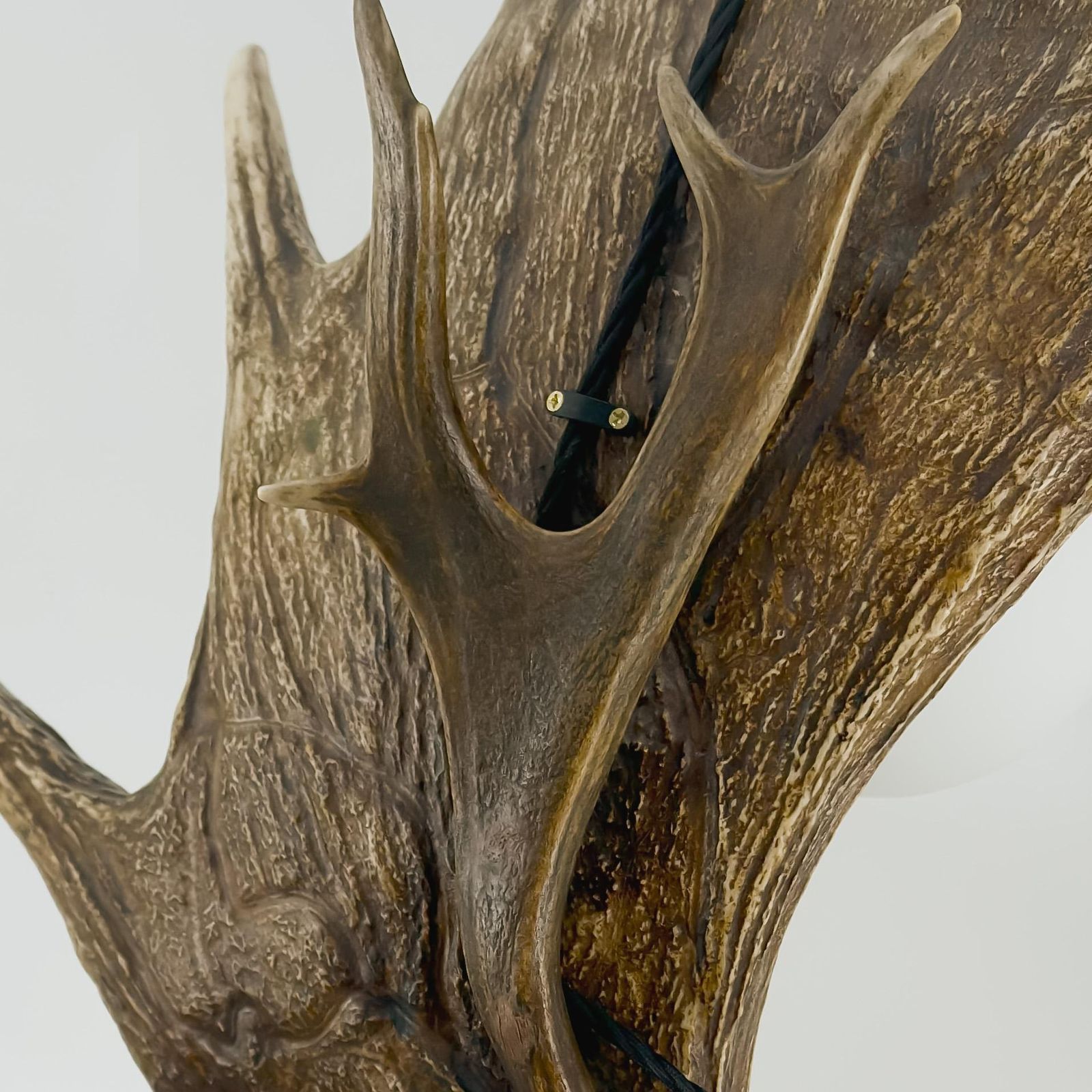 Black Forest Fallow Deer Antler Table Lamp, Frosted Glass Globe, Germany, 1950s photo 1200.0