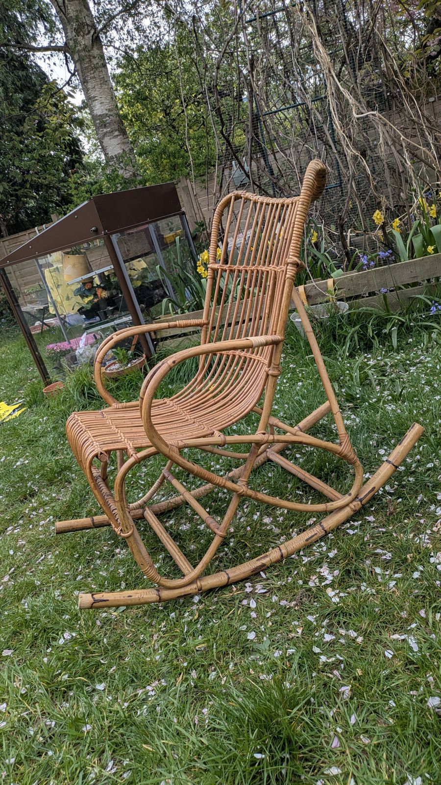 photo furniture Bamboo Cane Rocking Chair, Franco Albini Style