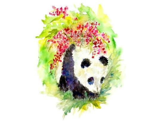 Panda In Bamboo Blossom Illustration Original Watercolour Painting Andi J Lucas