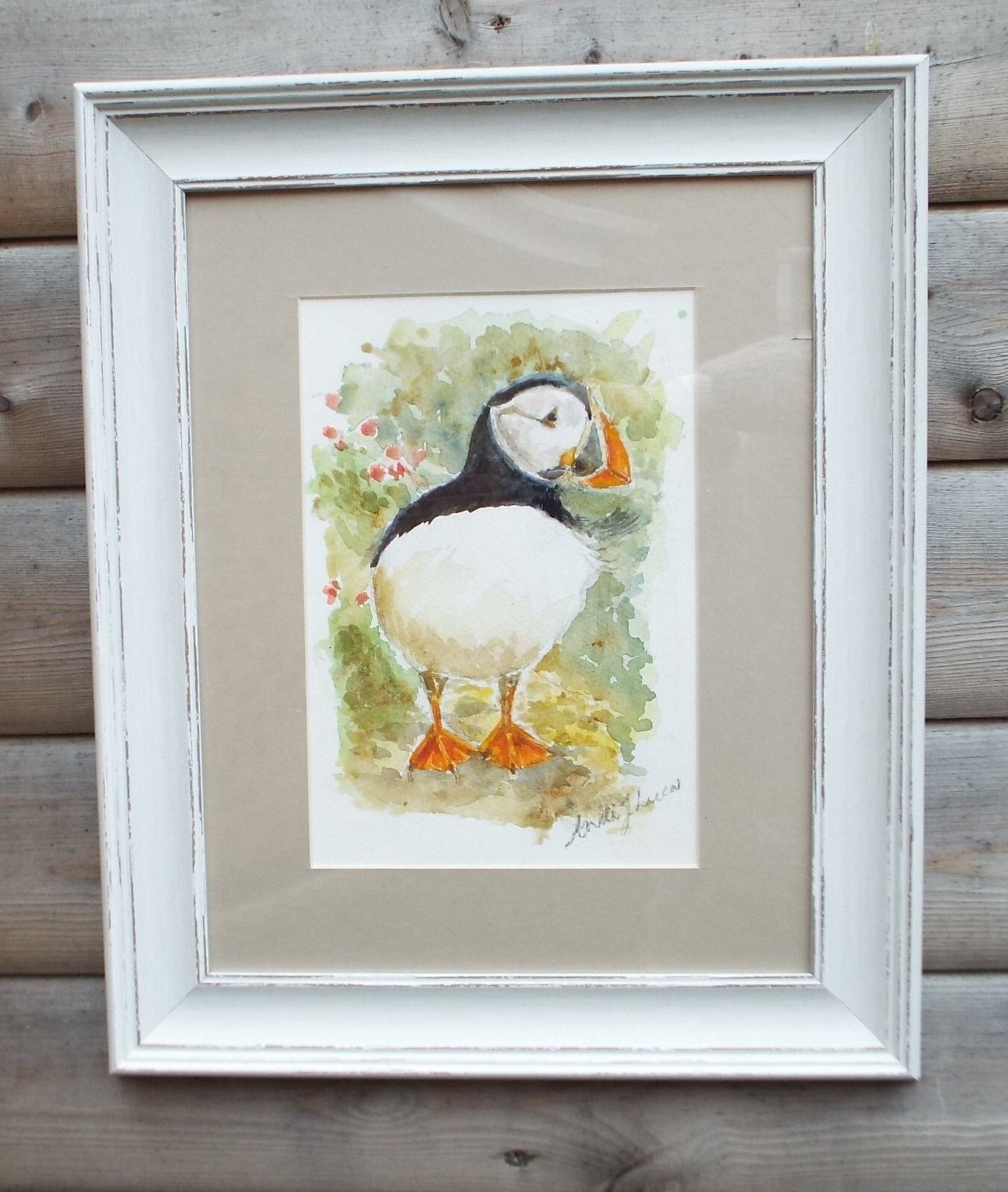 Puffin Watercolour Bird Painting Framed Wildlife Original Andi Lucas