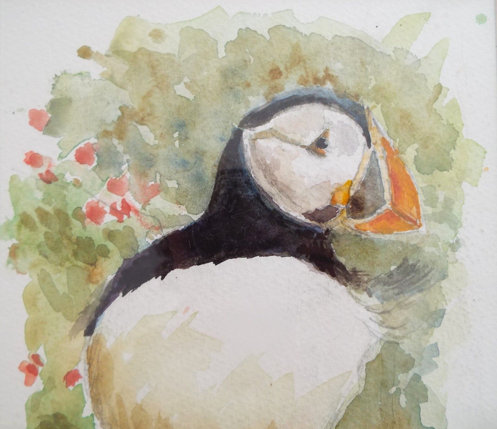 Puffin Watercolour Bird Painting Framed Wildlife Original Andi Lucas photo for sale