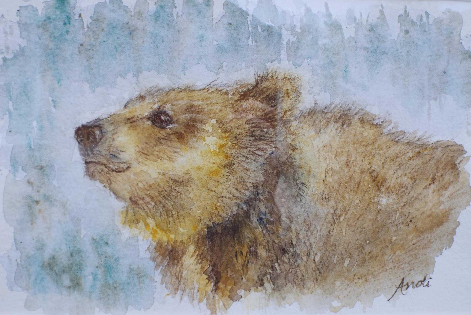 photo furniture Brown Bear Watercolour Bear Painting Framed Wildlife Original Andi Lucas