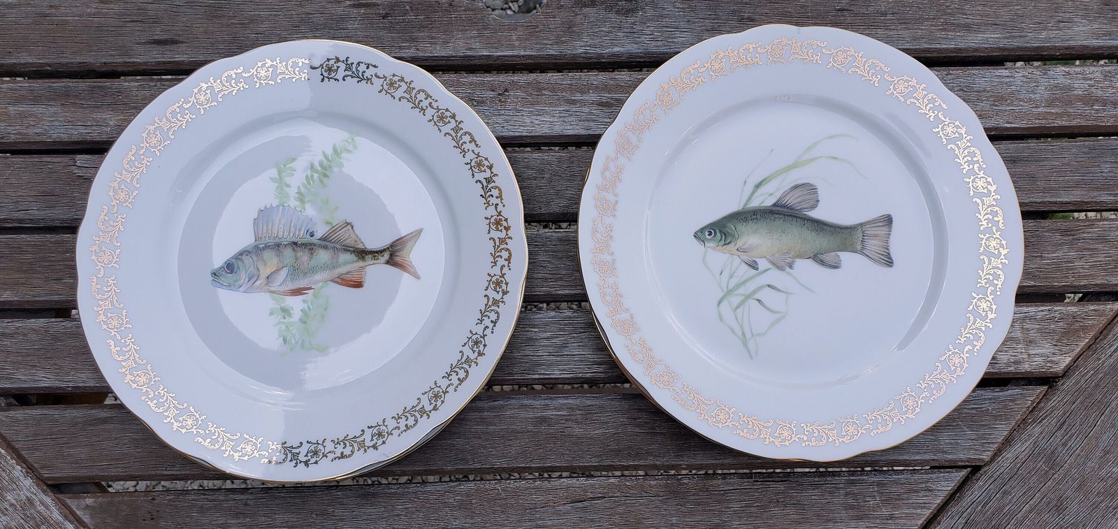 Full Set Of 12 Porcelain Fish Plates, Platter And Jug By Schumann Of Arzberg / 1960s Unused Porcelain Fish Plates / Boxed Set Of Porcelain photo Home Decor