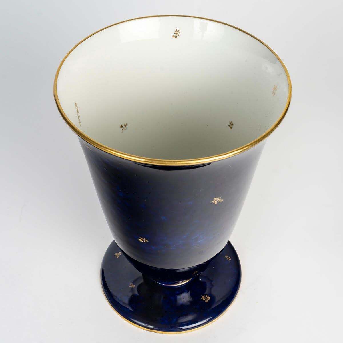 Pair Of Early 20th Century Sèvres Porcelain Vases. photo Home Decor