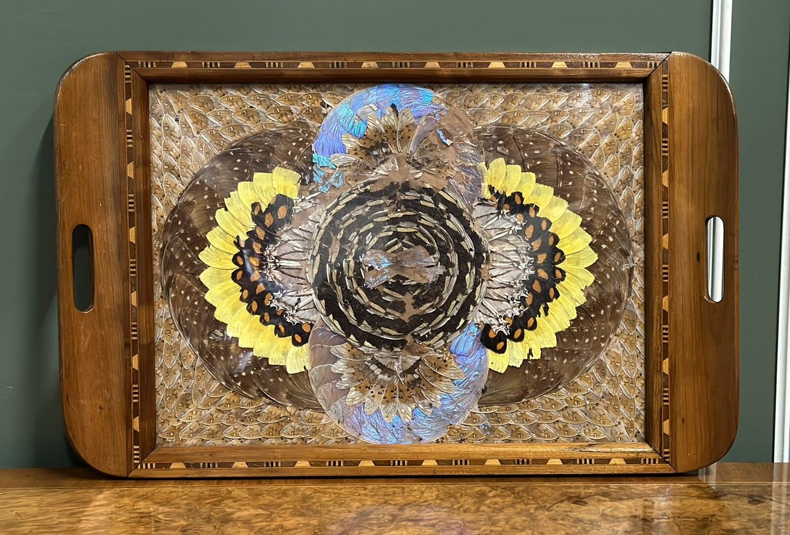 1940's Brazilian Inlaid Wood Tray With Real Morpho Butterfly Wings photo furniture