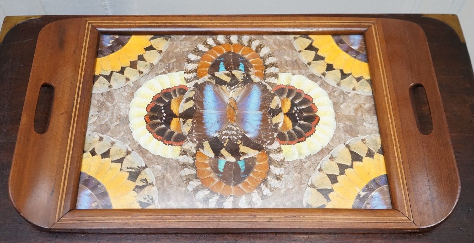 Vintage Brazilian Inlaid Wood Tray With Real Morpho Butterfly Wings photo Home Decor