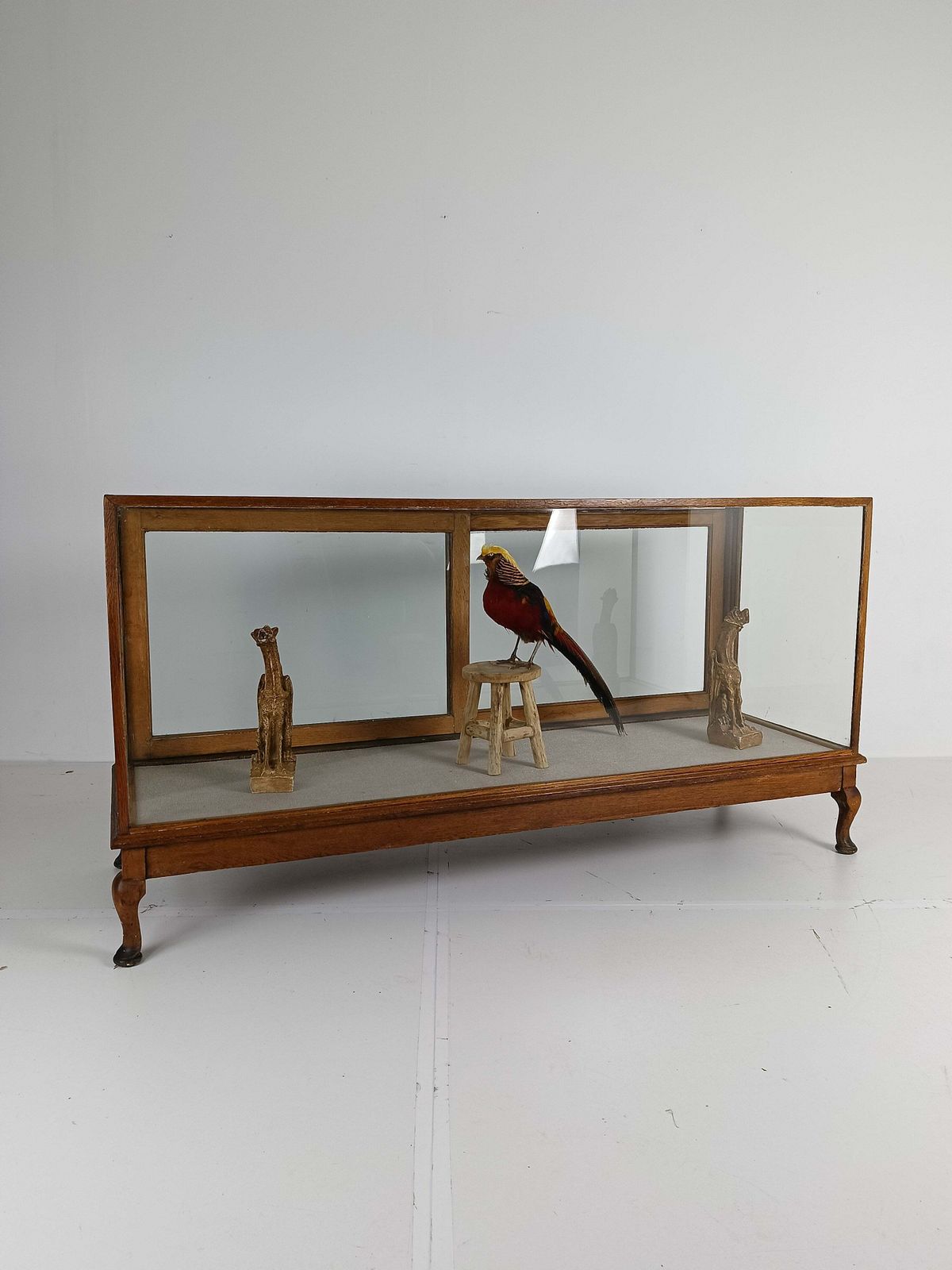 photo for sale Antique Large Glass Dispay Cabinet / Shop Counter