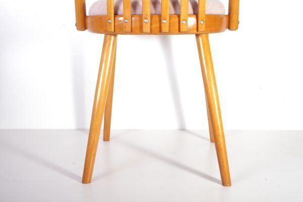 Furniture Mid Century Pink Chair By A. Suman For Cesky Nabytek, Former Czechoslovakia, 1960s photo